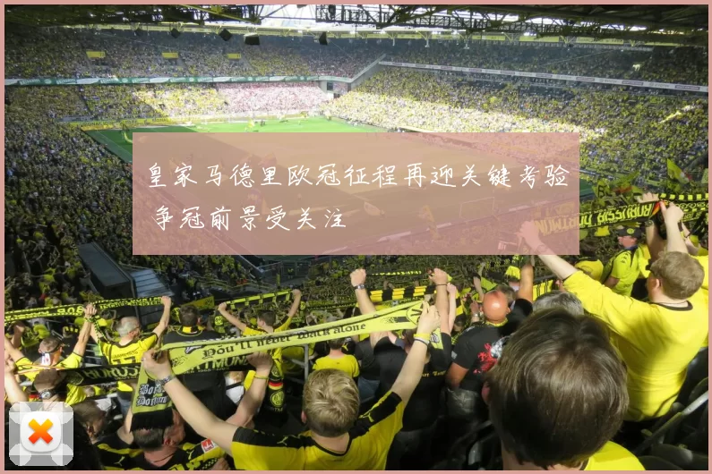 皇家马德里欧冠征程再迎关键考验 争冠前景受关注