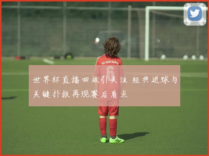 世界杯直播回放引关注 经典进球与关键扑救再现赛后看点