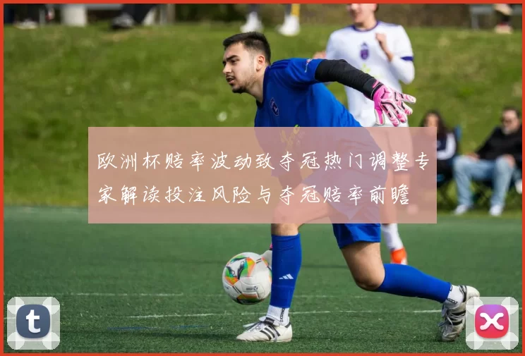 欧洲杯赔率波动致夺冠热门调整专家解读投注风险与夺冠赔率前瞻