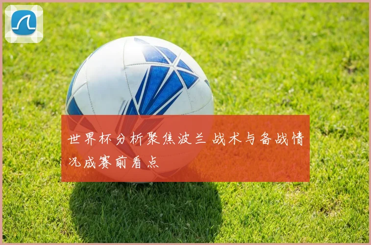 世界杯分析聚焦波兰 战术与备战情况成赛前看点